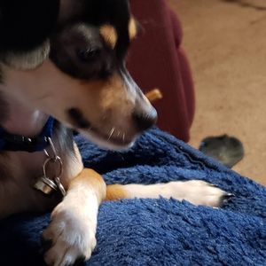 Meet your Posher, Charles